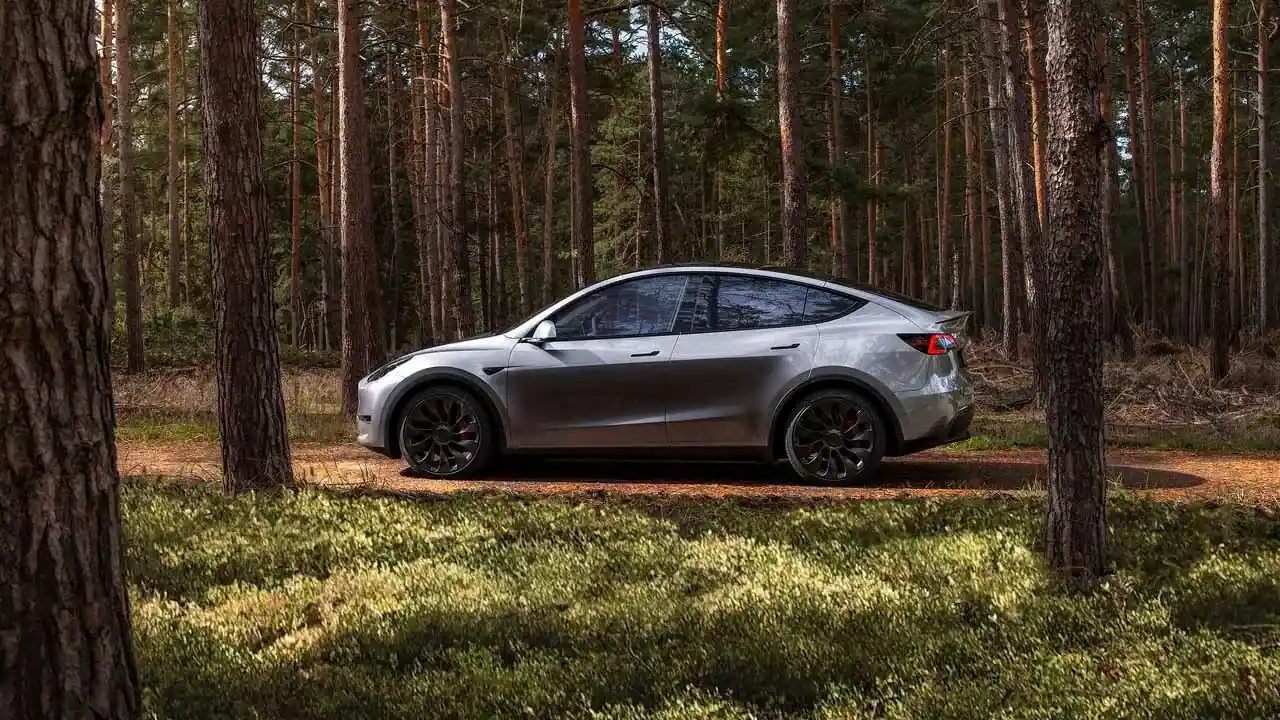 model y